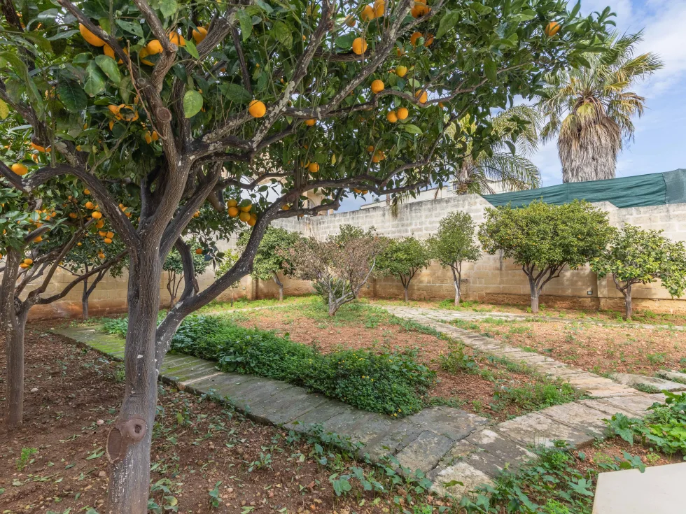 5 bed Terraced House For Rent in Attard, Attard - thumb 15