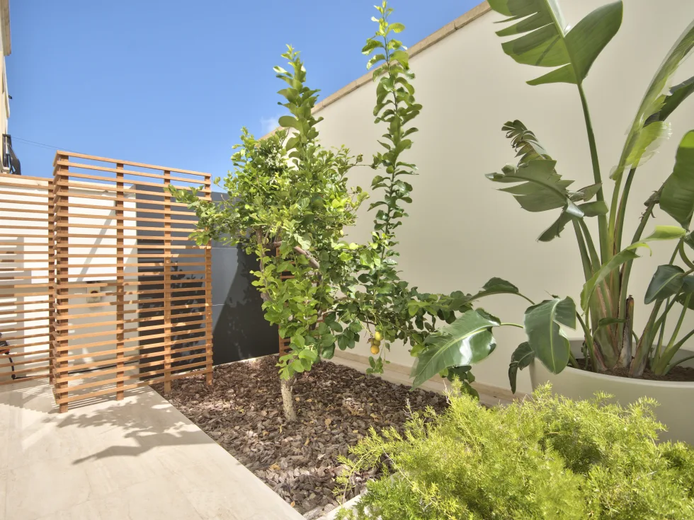 4 bed Town House For Rent in Ta' Xbiex, Ta' Xbiex - thumb 13