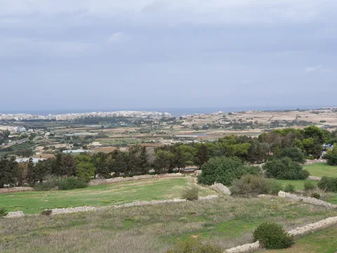 0 bed Office For Rent in Mosta, Mosta - thumb 1