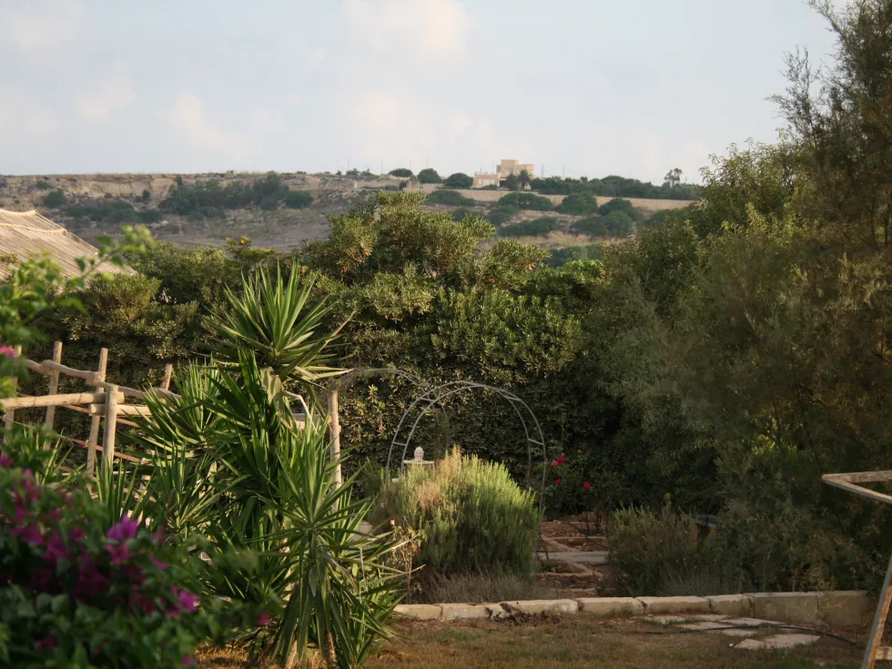 3 bed Villa For Rent in Mgarr, Mgarr - thumb 10