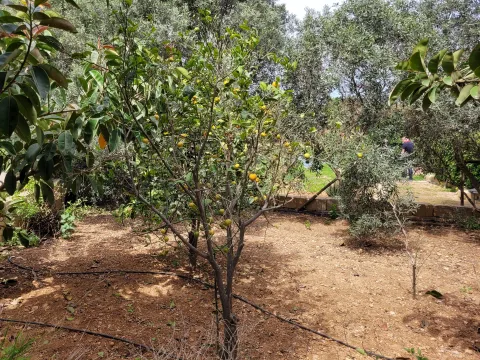 3 bed Villa For Rent in Mgarr, Mgarr - thumb 9