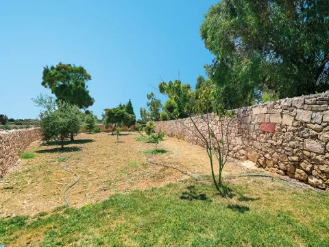 4 bed Villa For Rent in Zejtun, Zejtun - thumb 4