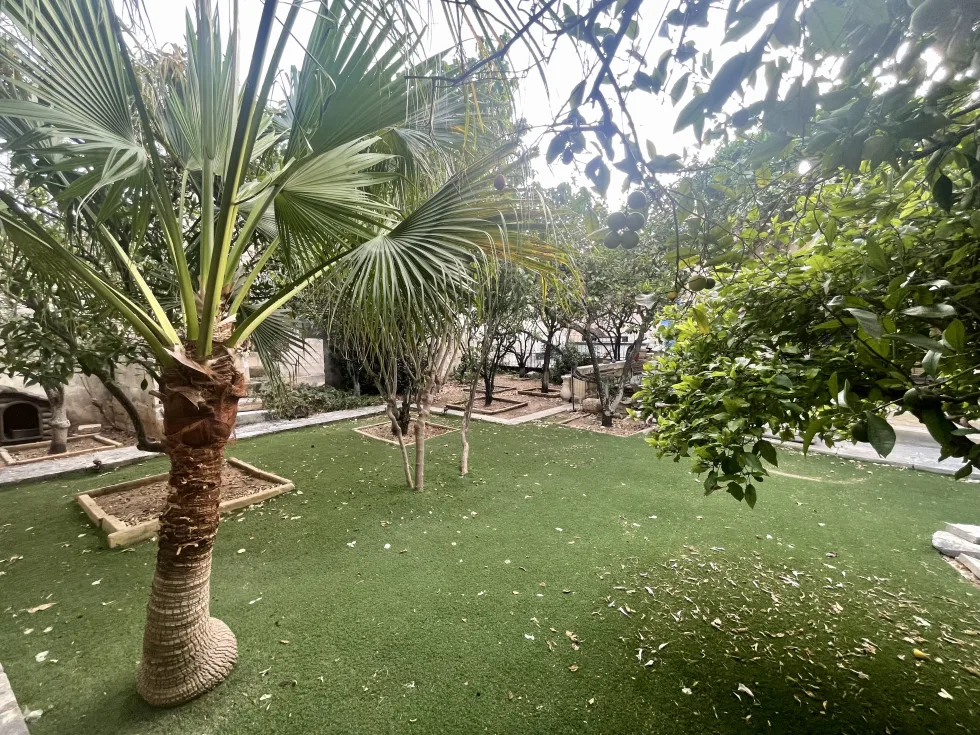 3 bed House of Character For Rent in Birkirkara, Birkirkara - thumb 18