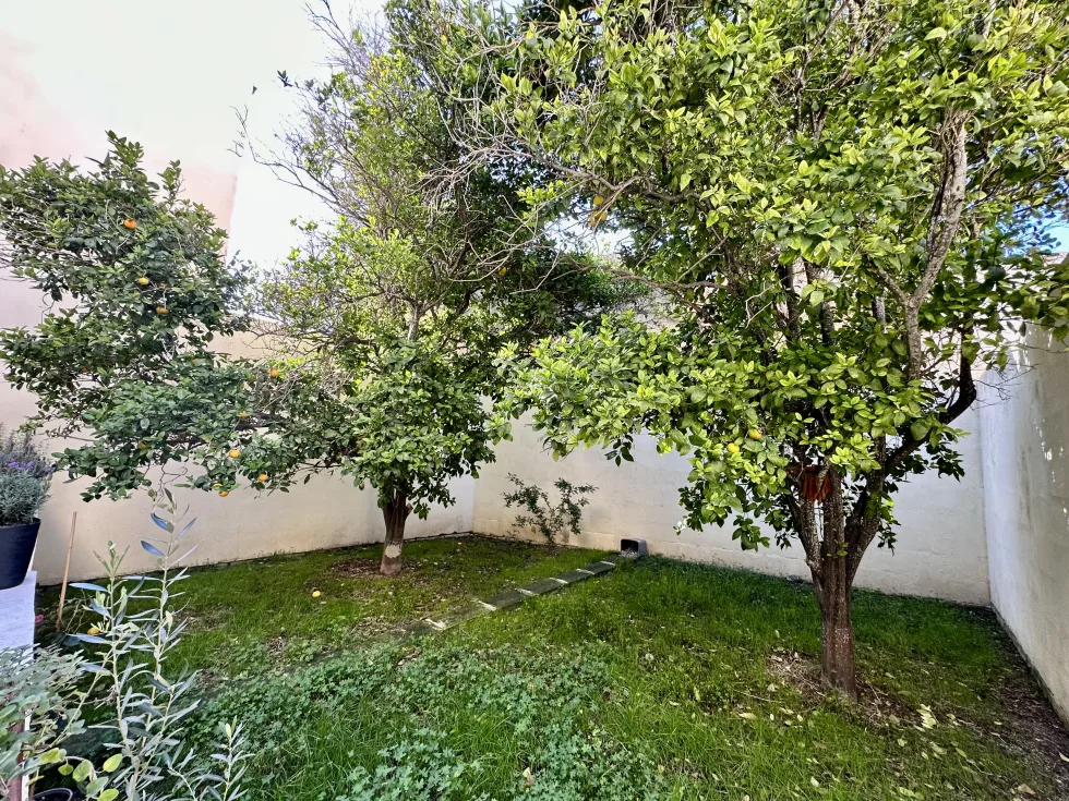 4 bed Town House For Rent in Attard, Attard - thumb 18