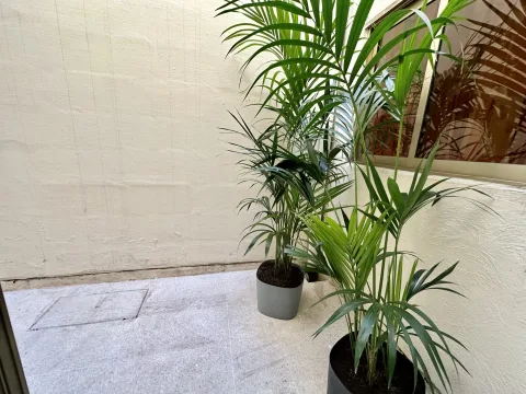 4 bed Town House For Rent in Attard, Attard - thumb 7