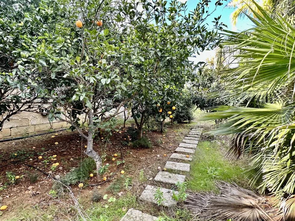 4 bed Villa For Rent in Naxxar, Naxxar - thumb 17