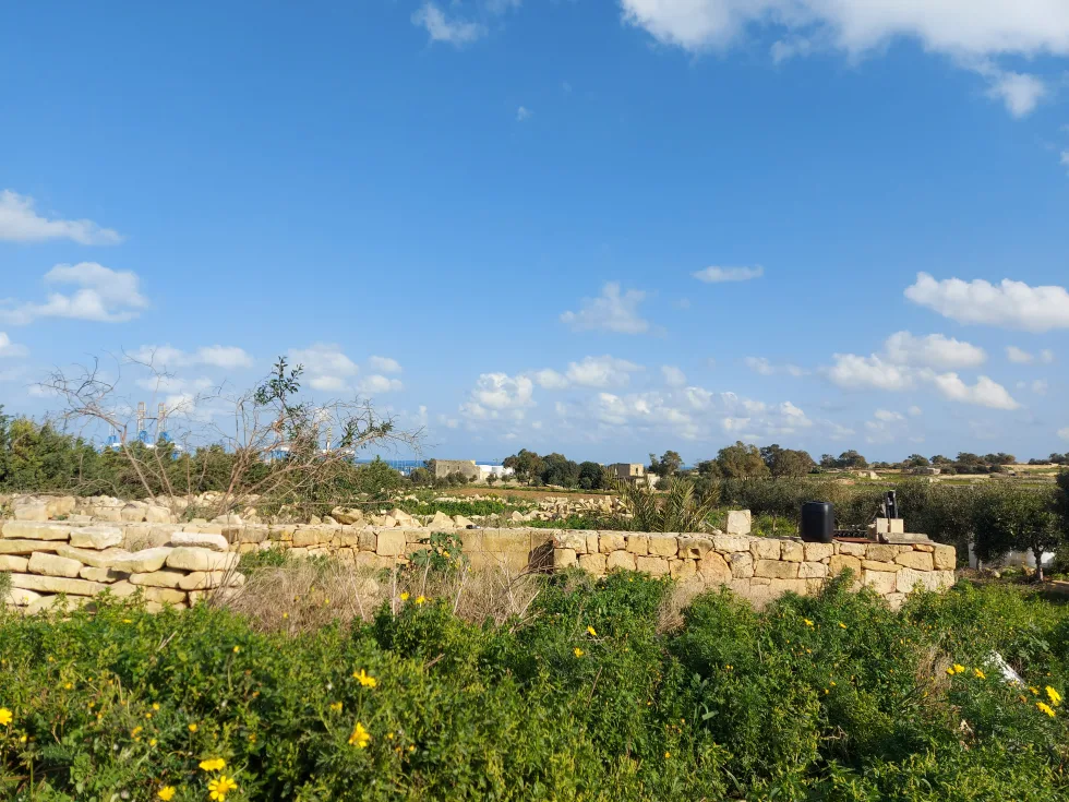 3 bed Farmhouse For Sale in Birzebbugia, Birzebbugia - thumb 3