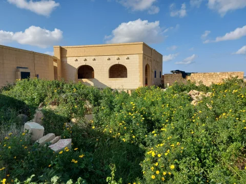 3 bed Farmhouse For Sale in Birzebbugia, Birzebbugia - thumb 4