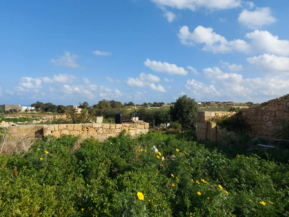 3 bed Farmhouse For Sale in Birzebbugia, Birzebbugia - thumb 5