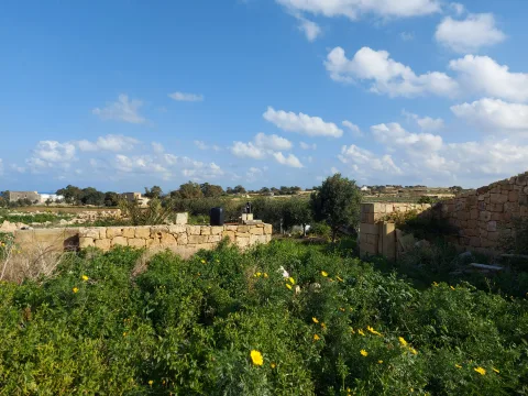 3 bed Farmhouse For Sale in Birzebbugia, Birzebbugia - thumb 5