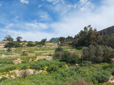 4 bed Town House For Sale in Marsascala, Marsascala - thumb 12