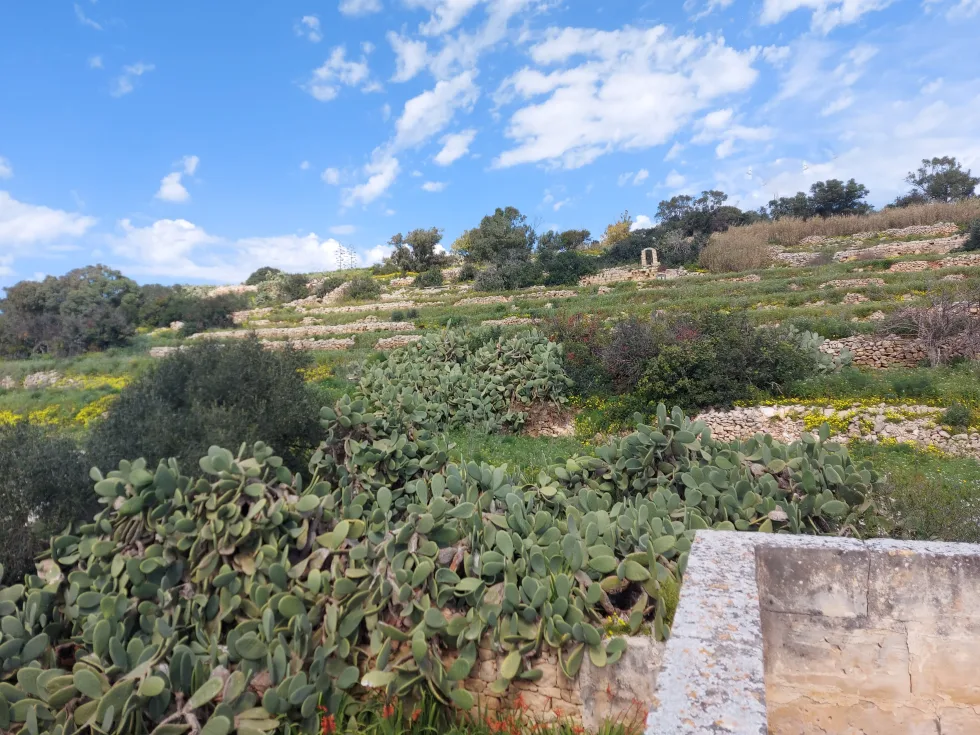 4 bed Town House For Sale in Marsascala, Marsascala - thumb 13