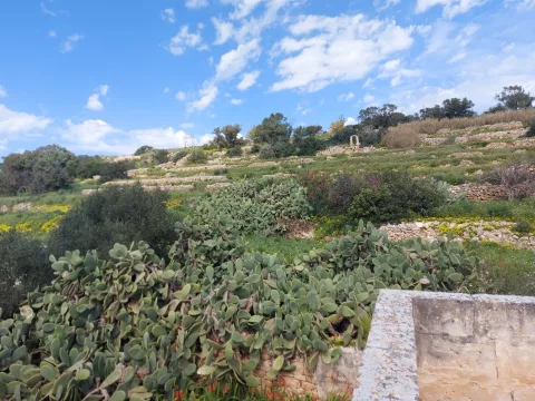 4 bed Town House For Sale in Marsascala, Marsascala - thumb 13