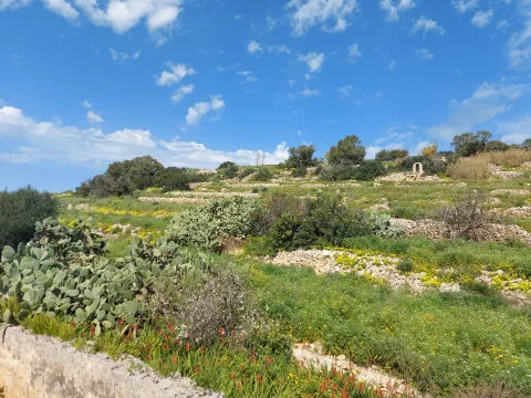 4 bed Town House For Sale in Marsascala, Marsascala - thumb 2