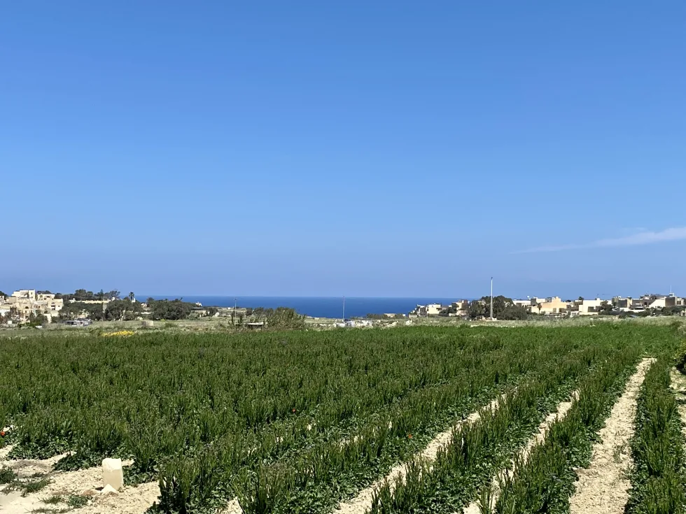 5 bed House of Character For Sale in San Lawrenz, San Lawrenz - thumb 2