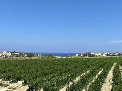 5 bed House of Character For Sale in San Lawrenz, San Lawrenz - thumb 2