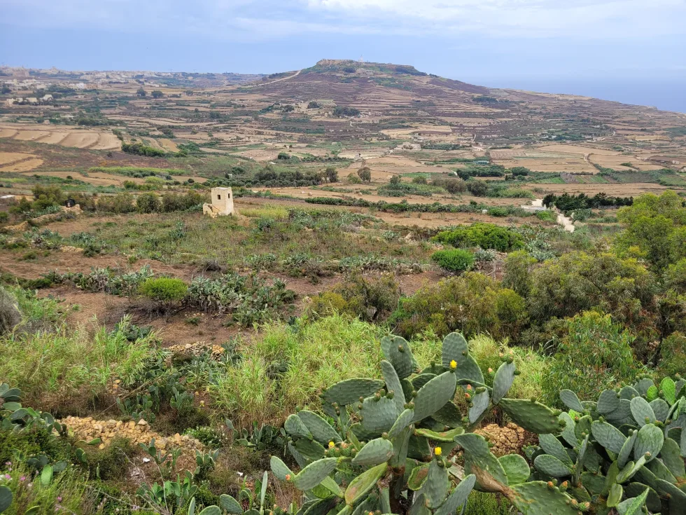 4 bed Farmhouse For Rent in Zebbug, Gozo, Zebbug, Gozo - thumb 11