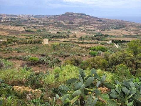 4 bed Farmhouse For Rent in Zebbug, Gozo, Zebbug, Gozo - thumb 11