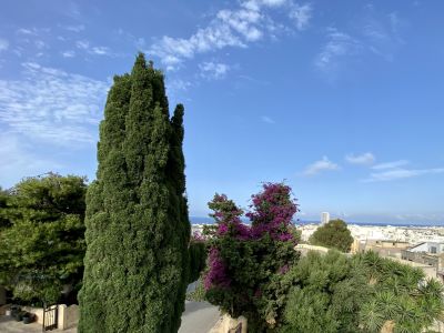 4 bed Villa For Sale in Madliena, Madliena - thumb 10