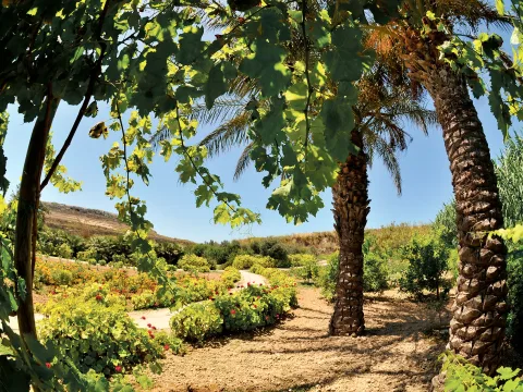 1 bed Apartment For Rent in San Lawrenz, San Lawrenz - thumb 6