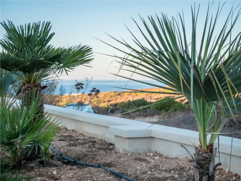 3 bed Villa For Rent in Mellieha, Mellieha - thumb 17