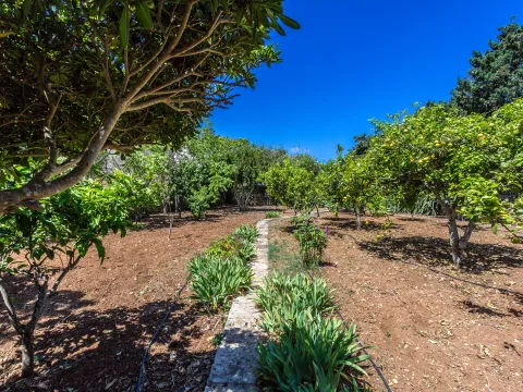 3 bed Farmhouse For Sale in Rabat, Rabat - thumb 6