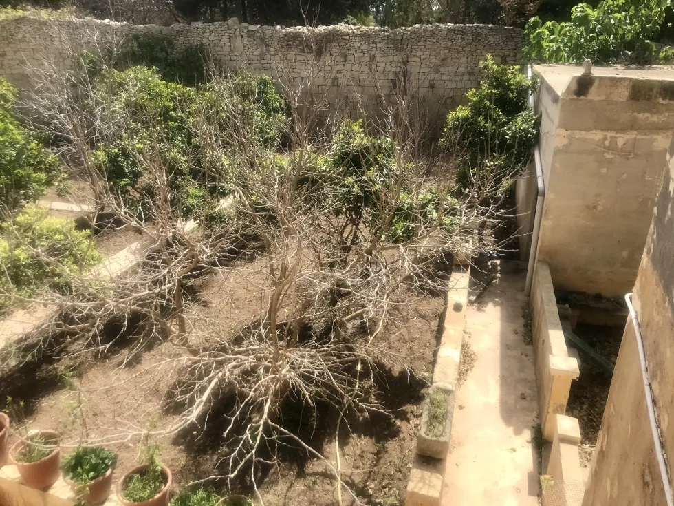 5 bed House of Character For Sale in Lija, Lija - thumb 16