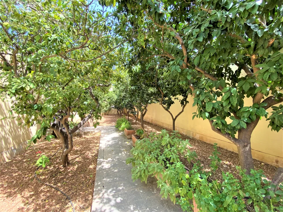 4 bed Villa For Rent in Attard, Attard - thumb 4