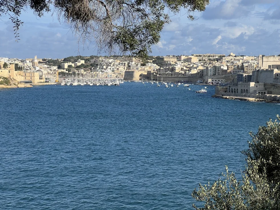 0 bed Office For Rent in Valletta, Valletta - thumb 1