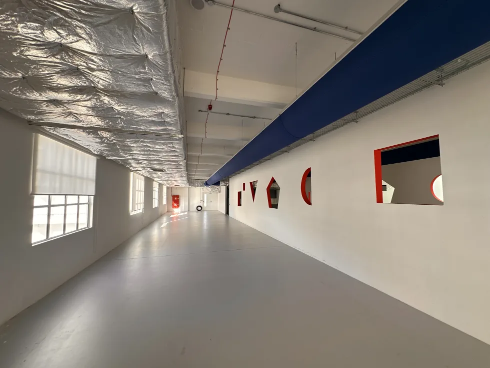 0 bed Office For Rent in Birkirkara, Birkirkara - thumb 12