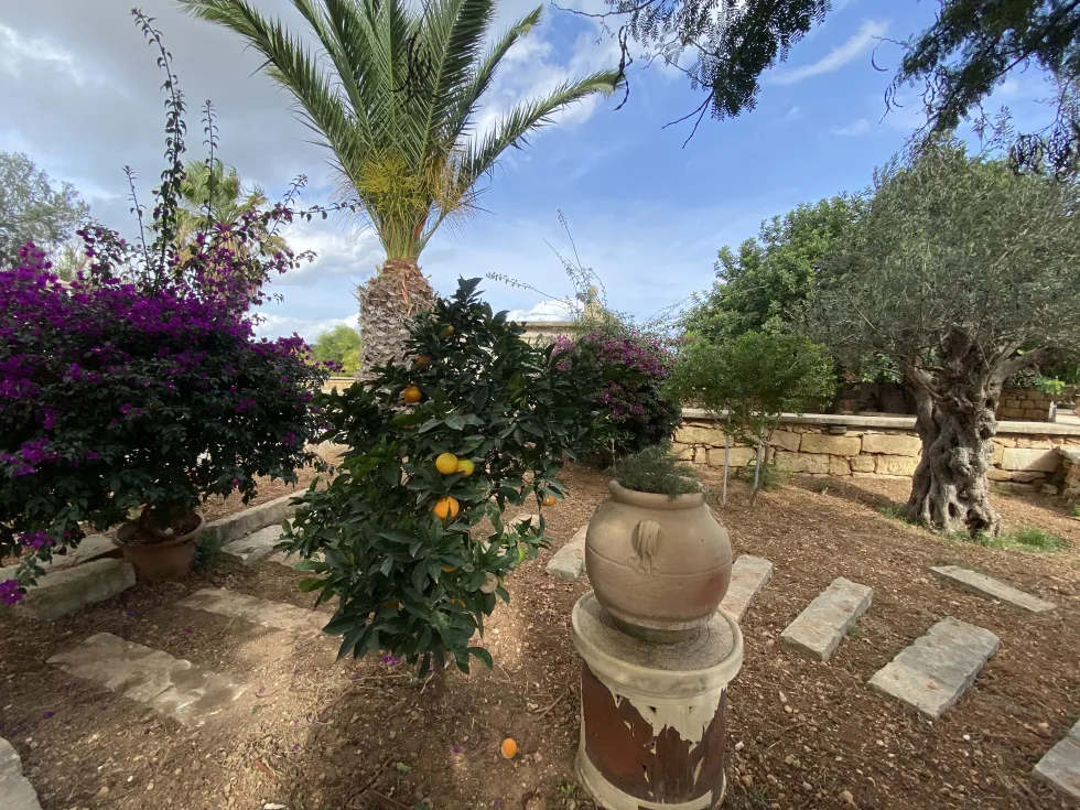 3 bed Villa For Rent in Mosta, Mosta - thumb 2