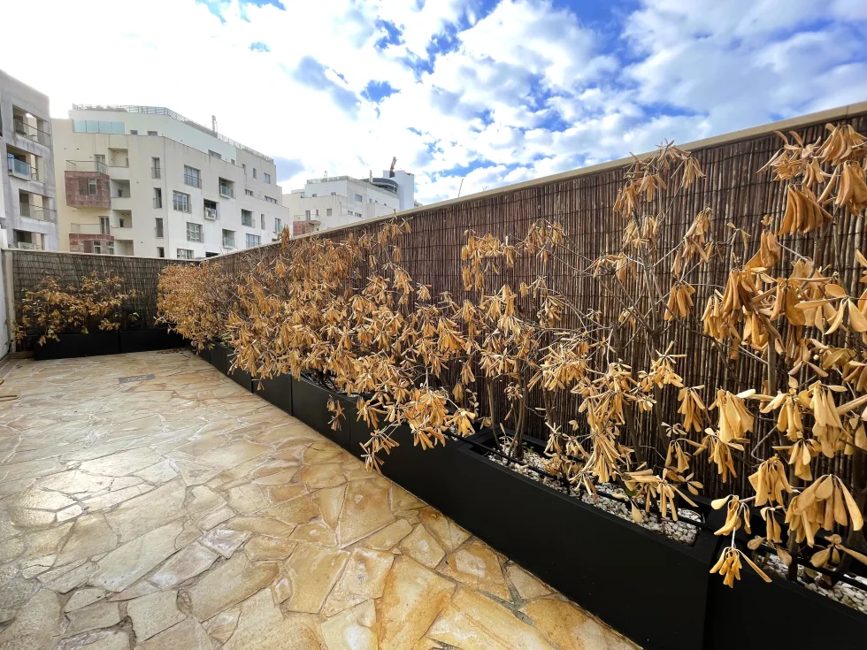 3 bed Apartment For Rent in Sliema, Sliema - thumb 12