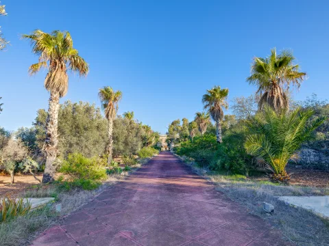 6 bed Palazzo For Sale in Wardija, Wardija - thumb 7