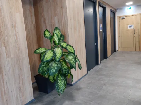 0 bed Office For Rent in St Julian's, St Julian's - thumb 8