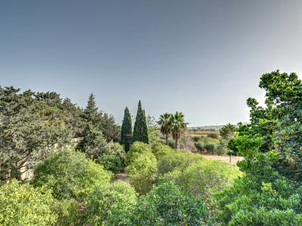 3 bed Villa For Sale in Attard, Attard - thumb 10