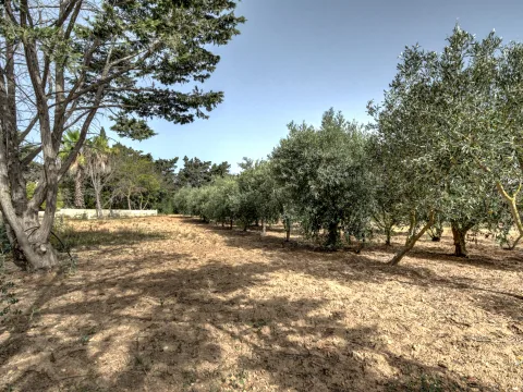 3 bed Villa For Sale in Attard, Attard - thumb 12