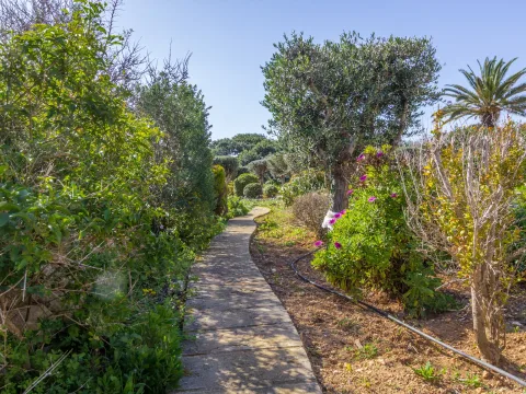 5 bed Villa For Sale in Xaghra, Gozo, Xaghra, Gozo - thumb 16