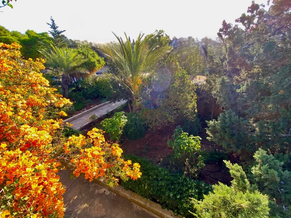 4 bed Villa For Sale in Naxxar, Naxxar - thumb 11