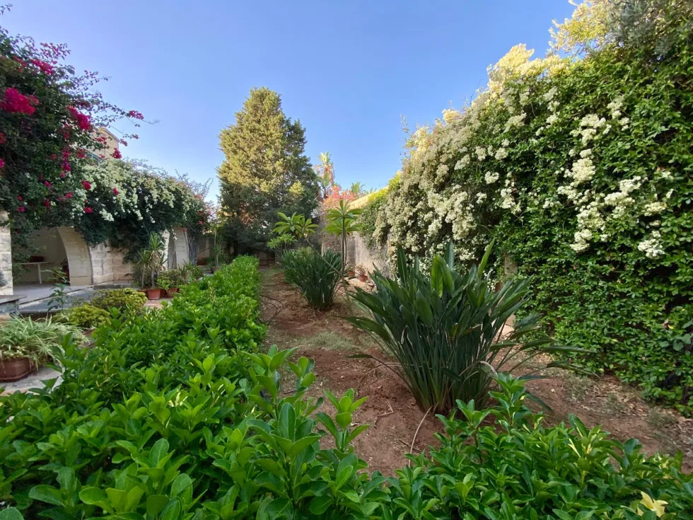 4 bed Villa For Sale in Naxxar, Naxxar - thumb 12