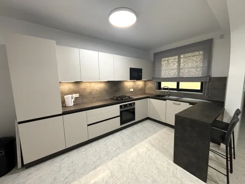 3 bed Apartment For Rent in Gzira, Gzira - thumb 2