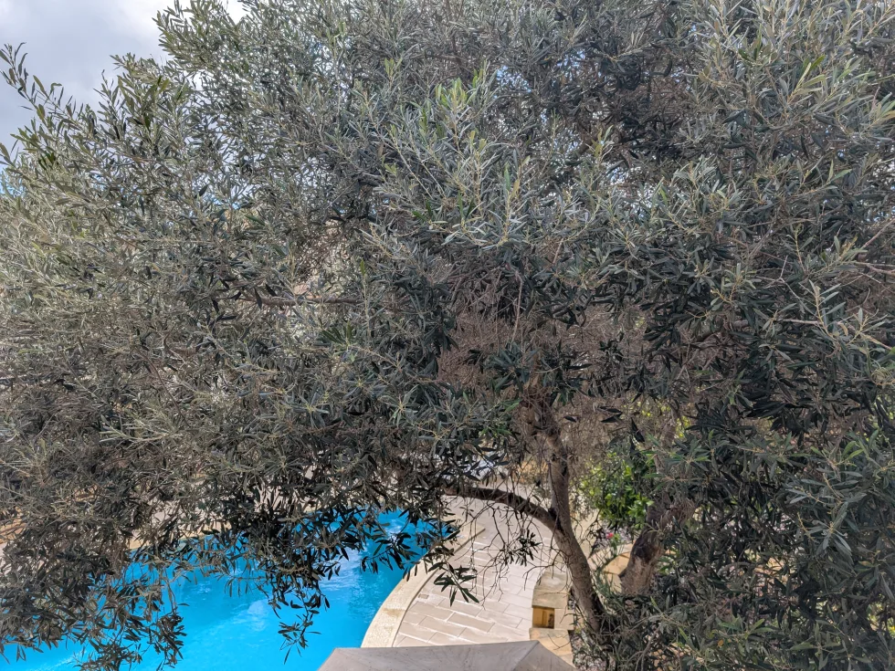 5 bed House of Character For Sale in Gharb, Gozo, Gharb, Gozo - thumb 19