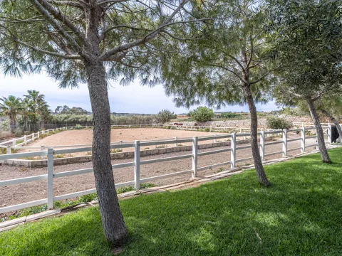 5 bed Farmhouse For Sale in Burmarrad, Burmarrad - thumb 28