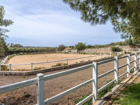 5 bed Farmhouse For Sale in Burmarrad, Burmarrad - thumb 30