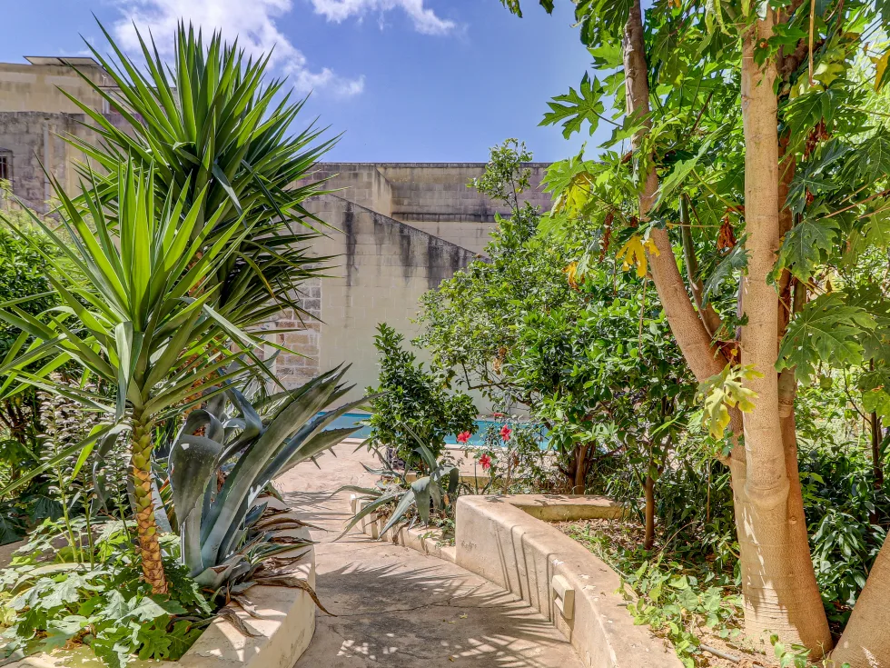 9 bed House of Character For Sale in Birkirkara, Birkirkara - thumb 24