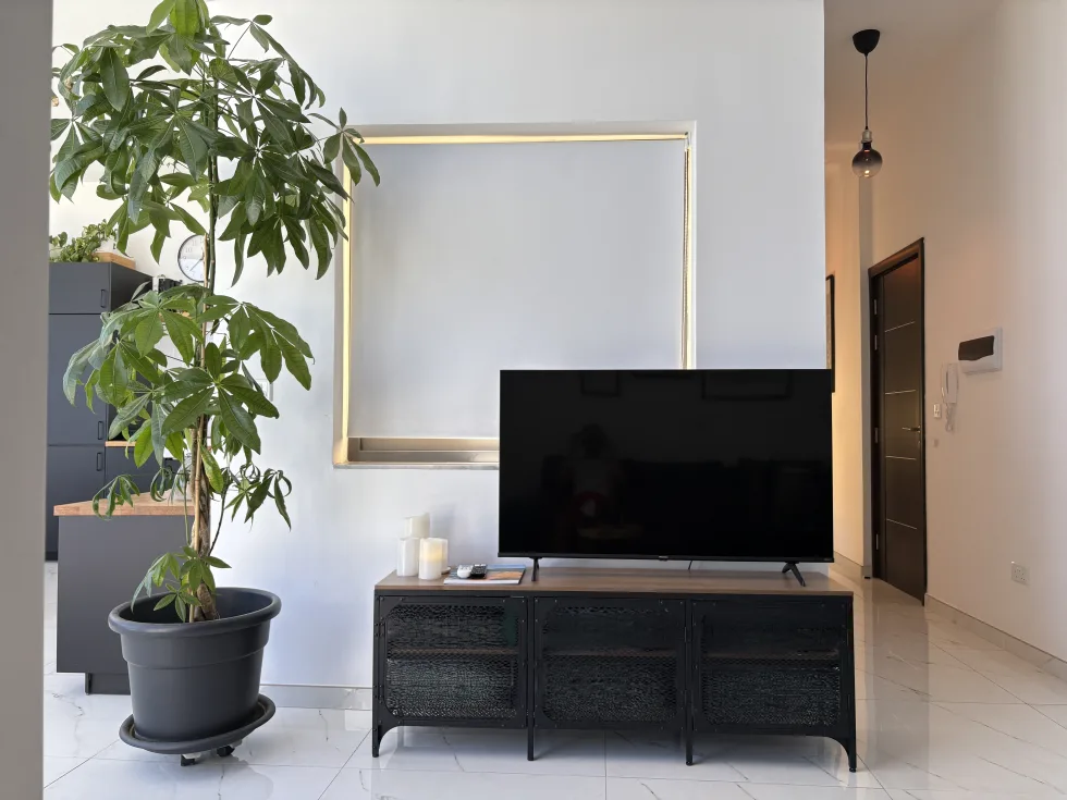 1 bed Penthouse For Rent in Msida, Msida - thumb 6