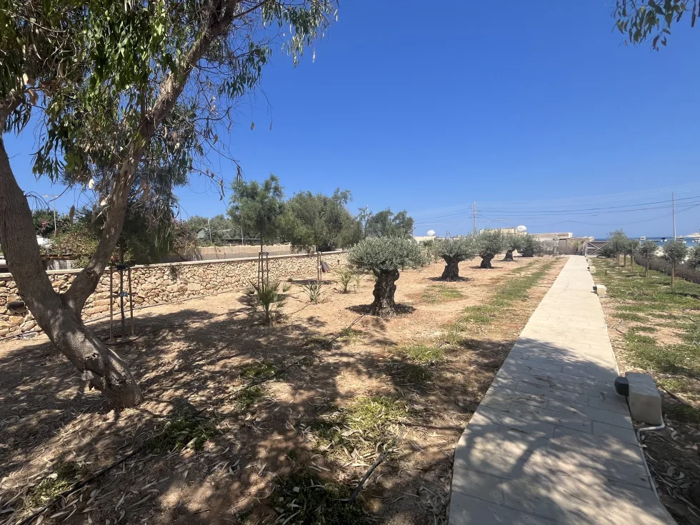 5 bed Villa For Rent in Marsascala, Marsascala - thumb 15