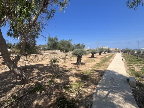 5 bed Villa For Rent in Marsascala, Marsascala - thumb 15