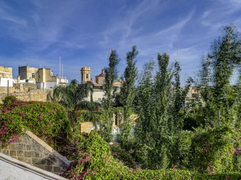 4 bed House of Character For Sale in Attard, Attard - thumb 29