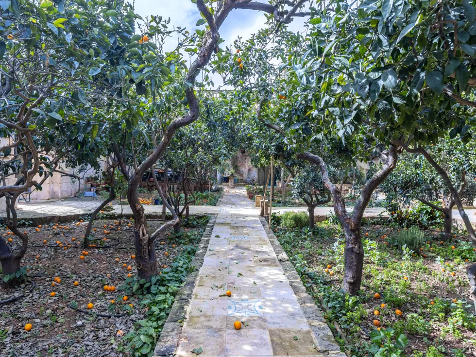 5 bed Palazzo For Sale in Zebbug, Zebbug - thumb 29