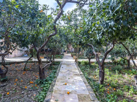 5 bed Palazzo For Sale in Zebbug, Zebbug - thumb 29